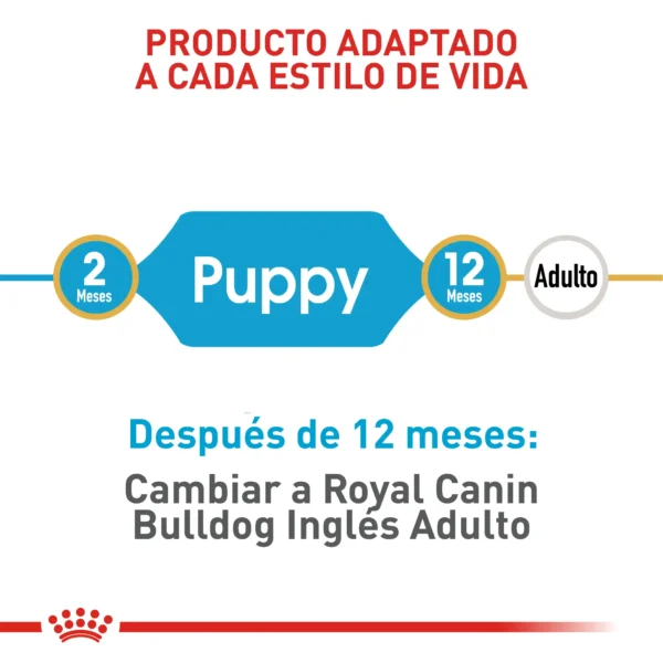 Alimento Royal Canin Bhn Bulldog Ingles Puppy – 3kg - Image 5