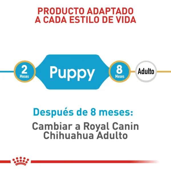 Alimento Royal Canin Bhn Chihuahua Puppy 1.13 Kg - Image 3