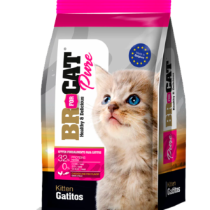 BR GATITO