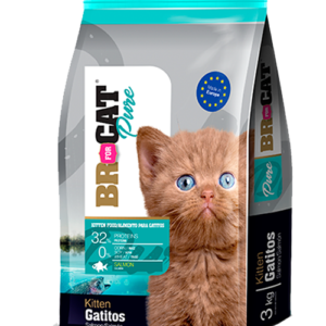 BR GATITO SALMON
