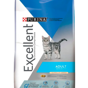 EXCELLENT ADULT CAT