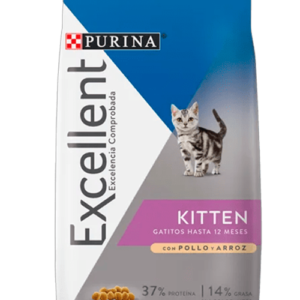 EXCELLENT KITTEN