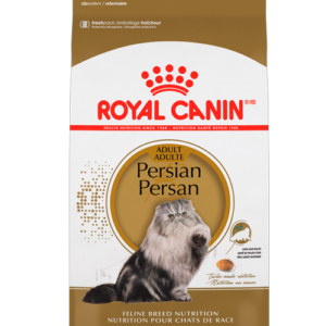 FBN PERSIAN ADULT