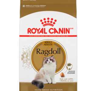 FBN RAGDOLL