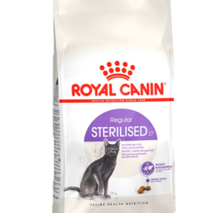 FHN REGULAR STERILISED37