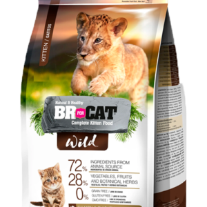 BR WILD GATITO