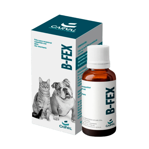 B-FEX