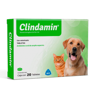 CLINDAMIN 20