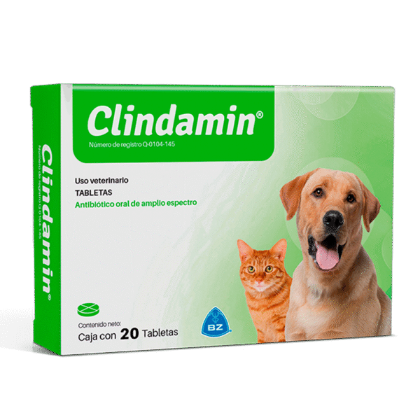CLINDAMIN 20