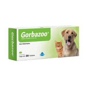 GORBAZOO