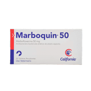 MARBOQUIN