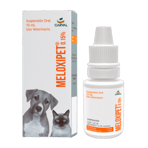 MELOXIPET 10ML