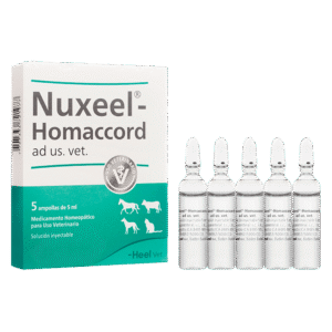 NUEXEEL HOMACCORD